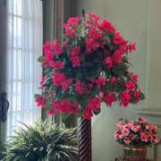 ヒメ日記 2025/06/18 20:31 投稿 Gの未体験衝撃『あおい』 ESSENCE