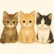 ヒメ日記 2025/07/14 23:31 投稿 Gの未体験衝撃『あおい』 ESSENCE