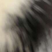 ヒメ日記 2025/11/01 21:45 投稿 Gの未体験衝撃『あおい』 ESSENCE