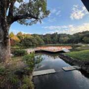 ヒメ日記 2025/11/26 18:18 投稿 Gの未体験衝撃『あおい』 ESSENCE