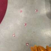 ヒメ日記 2026/01/18 23:15 投稿 Gの未体験衝撃『あおい』 ESSENCE