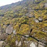 ヒメ日記 2026/03/11 20:02 投稿 Gの未体験衝撃『あおい』 ESSENCE