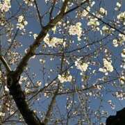 ヒメ日記 2026/03/27 14:45 投稿 Gの未体験衝撃『あおい』 ESSENCE