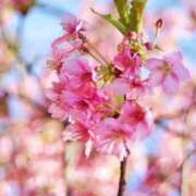 ヒメ日記 2026/03/28 22:31 投稿 Gの未体験衝撃『あおい』 ESSENCE