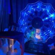 ヒメ日記 2024/12/14 19:19 投稿 りの MINT（ミント）