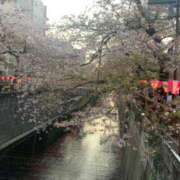 ヒメ日記 2025/03/23 18:36 投稿 りの MINT（ミント）