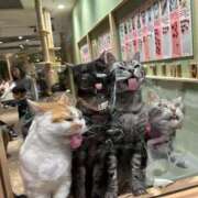 ヒメ日記 2025/04/01 19:01 投稿 りの MINT（ミント）