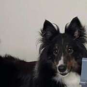 【すず】業界未経験の美形さん 新しい家族🫶🏻 バブルリングプラス