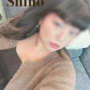 ヒメ日記 2026/02/16 21:19 投稿 花城 しの HANA-okinawa-