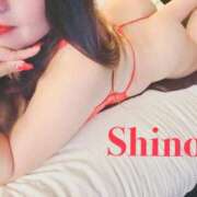 ヒメ日記 2026/02/17 19:33 投稿 花城 しの HANA-okinawa-