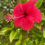 ヒメ日記 2025/07/25 01:14 投稿 ちあき ビデオDEはんど 名古屋校