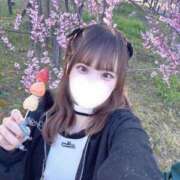 ヒメ日記 2026/04/09 14:04 投稿 まいん 山梨　風俗　デリヘル　 『ラブ＆ピース学園』