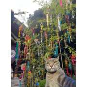 ヒメ日記 2025/07/09 16:55 投稿 さら 制服天国（ユメオト）