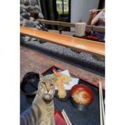 ヒメ日記 2025/07/30 15:27 投稿 さら 制服天国（ユメオト）