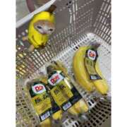 ヒメ日記 2025/08/07 17:07 投稿 さら 制服天国（ユメオト）