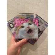 ヒメ日記 2025/11/03 14:57 投稿 さら 制服天国（ユメオト）