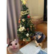 ヒメ日記 2025/12/24 12:47 投稿 さら 制服天国（ユメオト）