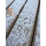 さら 🎍🌅 制服天国（ユメオト）