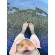 さら しもやけ 制服天国（ユメオト）