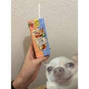 ヒメ日記 2026/04/11 15:42 投稿 さら 制服天国（ユメオト）