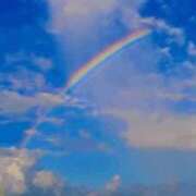 ヒメ日記 2025/06/15 14:13 投稿 くれあ 熟女家 堺東店