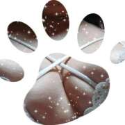 ヒメ日記 2026/02/01 15:27 投稿 くれあ 熟女家 堺東店