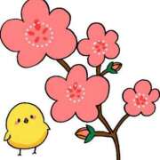 ヒメ日記 2026/03/03 12:24 投稿 くれあ 熟女家 堺東店