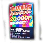 ヒメ日記 2026/03/05 19:24 投稿 くれあ 熟女家 堺東店
