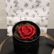 ヒメ日記 2025/01/02 16:52 投稿 藤原 あおい 性の極み妻 好き者たちの宴