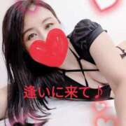 ヒメ日記 2025/05/12 08:02 投稿 藤原 あおい 性の極み妻 好き者たちの宴