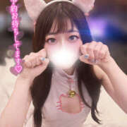 りと ペットなるのはどっちかニャ😻 女の子がセルフで撮影する店！！成田デリヘル『生パネル』伝説