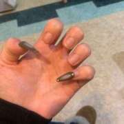 ヒメ日記 2025/04/18 15:39 投稿 瀬戸アンヌ ウルトラハピネス