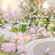 ヒメ日記 2025/05/11 20:00 投稿 こい 奥鉄オクテツ兵庫