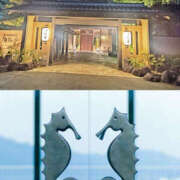 ヒメ日記 2025/09/20 13:54 投稿 こい 奥鉄オクテツ兵庫