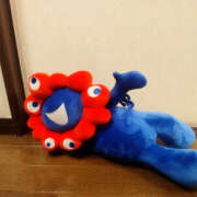 ヒメ日記 2025/10/12 18:29 投稿 こい 奥鉄オクテツ兵庫