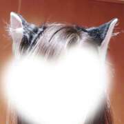 ヒメ日記 2026/02/20 18:25 投稿 こい 奥鉄オクテツ兵庫