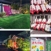 ヒメ日記 2026/04/21 09:48 投稿 こい 奥鉄オクテツ兵庫