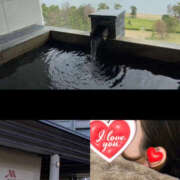 ヒメ日記 2024/12/17 14:22 投稿 こい 奥鉄オクテツ奈良