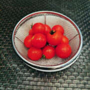 ヒメ日記 2025/08/05 11:52 投稿 こい 奥鉄オクテツ奈良