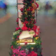 ヒメ日記 2025/12/10 20:59 投稿 こい 奥鉄オクテツ奈良