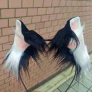 ヒメ日記 2026/02/20 16:22 投稿 こい 奥鉄オクテツ奈良