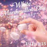 ヒメ日記 2026/03/14 13:38 投稿 こい 奥鉄オクテツ奈良