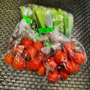 ヒメ日記 2025/08/15 12:12 投稿 こい 奥鉄オクテツ大阪