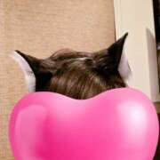 ヒメ日記 2026/02/20 15:36 投稿 こい 奥鉄オクテツ大阪