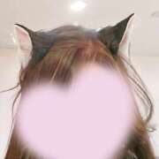 ヒメ日記 2026/02/21 17:04 投稿 こい 奥鉄オクテツ大阪