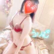 ヒメ日記 2025/08/02 14:48 投稿 うりむ 秘密倶楽部 凛 船橋本店