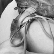 ヒメ日記 2025/07/20 12:55 投稿 ここ 玉乱☆痴（たまらんち）