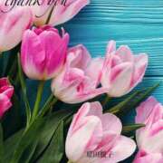 ヒメ日記 2025/04/06 08:12 投稿 原田麗子 五十路マダム 岐阜店