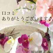 ヒメ日記 2025/04/06 09:46 投稿 原田麗子 五十路マダム 岐阜店