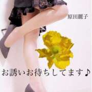 ヒメ日記 2025/05/22 13:14 投稿 原田麗子 五十路マダム 岐阜店